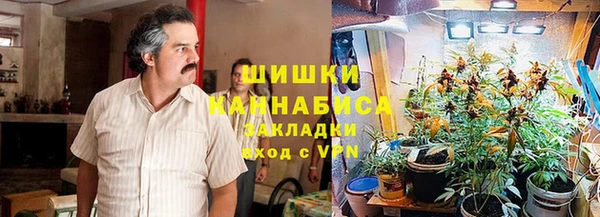 ECSTASY Пересвет