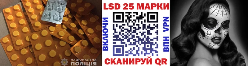 ЛСД экстази ecstasy  Каргополь 
