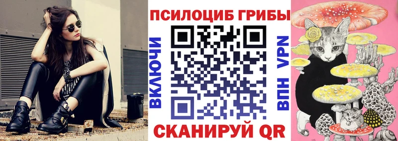 Галлюциногенные грибы GOLDEN TEACHER  как найти закладки  даркнет наркотические препараты  Каргополь 