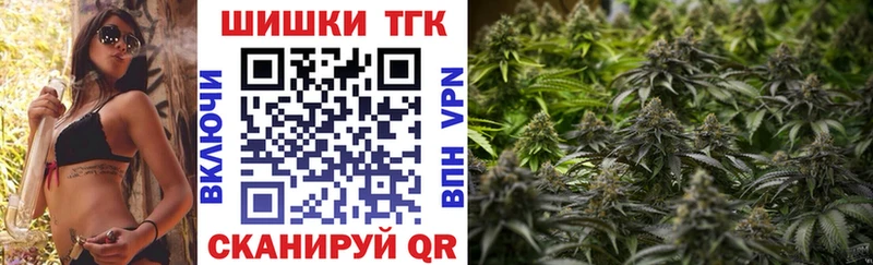 где продают   Каргополь  Каннабис сатива 